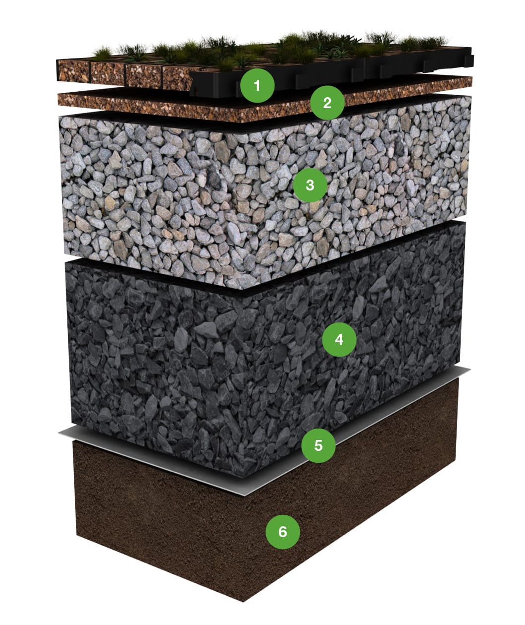 Base ECORASTER Microgreen